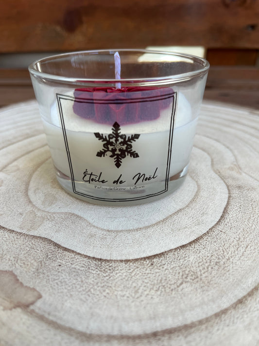 Étoile de Noël